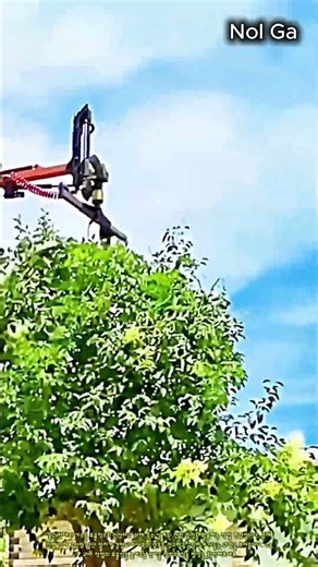 둥근 나무 다듬는 전용 전정 장비 작업 현장 #worker #process #pruning #gardening #machinery