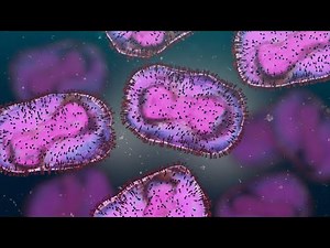 Monkeypox: What Parents Need to Know