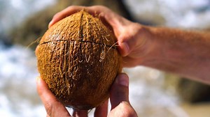 2.6M views · 10K reactions | If you're not a coconut cracking ninja from Samoa, then you'll need an easier way to bust coconuts for pleasure, or for survival. This is the easiest and most effective way I've found to do it, when you don't have any tools. | The King of Random | Facebook