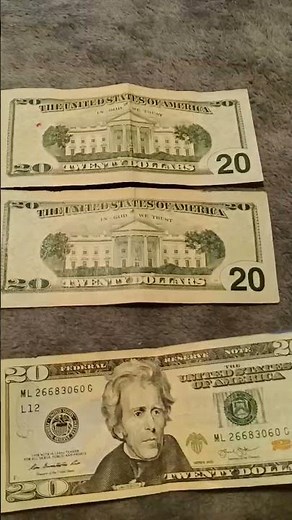 twenty dollar bills with markings on the back