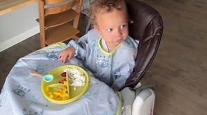 Amazon.com: Lictin Coverall Baby Feeding Bib - Attaches and Fully Cover to Baby Highchair, Waterproof Weaning Bib Adjustable for Baby Toddler Infant, Machine Washable : Baby