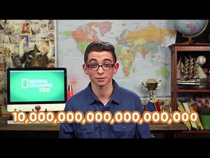 Insect Videos: See You Next Time! | Nat Geo Kids Insects Playlist