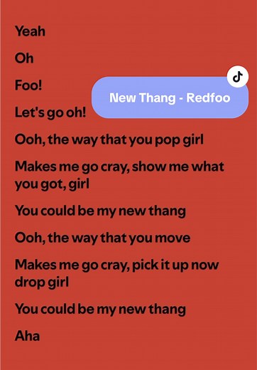 Discover the Lyrics to 'New Thang' by Redfoo