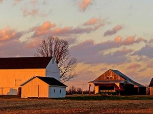 Patterson Farm's Future Will Go Before The Public