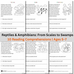 Reptiles and Amphibians Reading Comprehensions Workbook | 10 Animal Passages With Questions and Fun Facts | KS1 & Grades K–1 Literacy - Etsy Canada