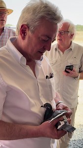 79K views · 2.3K reactions | Jurgen Altmiks and Werner Waldow assessing the 2nd Super Ace and 5th Place Arabian Gulf Race Pigeon of Team Germany - Altmiks Pigeons. One of the star performers of the Dubai One Loft Pigeon Race and another Best Kittel (PIPA Breeding) descendant.  | Dubai One Loft Pigeon Race | Facebook