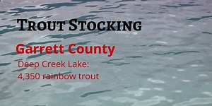 1.6K views · 32 reactions | Today's trout stocking.... | Maryland Department of Natural Resources Fisheries | Facebook