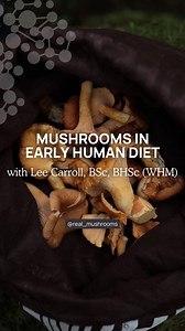Did you know functional mushrooms deliver powerful messages to help keep our immune systems balanced and healthy. Despite their incredible potential, mushrooms have often been overlooked, both in our diets and by science. For centuries, humans have consumed mushrooms, but many studies on ancient diets missed how important fungi were. In fact, early humans were likely avid mushroom eaters, and the nutrients from mushrooms contributed significantly to their health and well-being. It’s time to brin