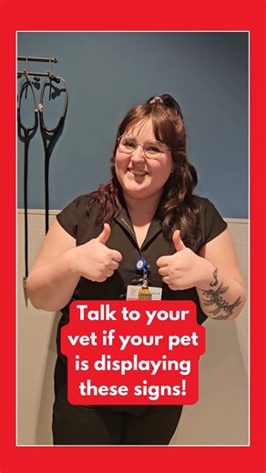 12 reactions | Cardiology vet tech, Sami, is sharing the most common signs of heart disease in pets! If you have any concerns about your pet's heart health, talk to your family vet! #AERCCardiology #pethealth #petcardiology #veterinarycardiology #pethearthealth #vetmed #vettech #aercmn | Animal Emergency & Referral Center of Minnesota | Facebook