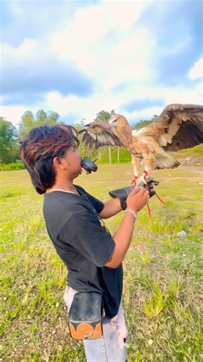 tutorial on how to install a hood or bird head cover #animals #nature #xplore #animal #naturelovers