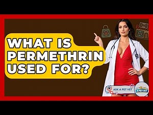 What Is Permethrin Used For? - Ask A Pet Vet