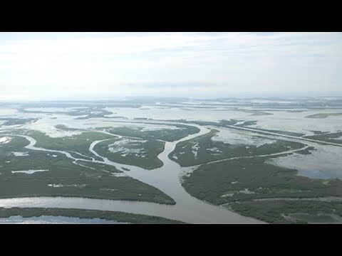 Deltaic Depositional Systems