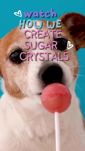 🍭 Discover the sweet science behind sugar with our 'Just Add Sugar' kit! Watch how sugar crystals form in this fun and educational experiment. Ready to make your own rock candy? Let's get started! 🌈✨ #justaddsugar #griddlykids #stemfun #steamlearning #sugarscience #rockcandy #scienceexperiment #educationaltoys #kidsscience #diyscience #familyfun