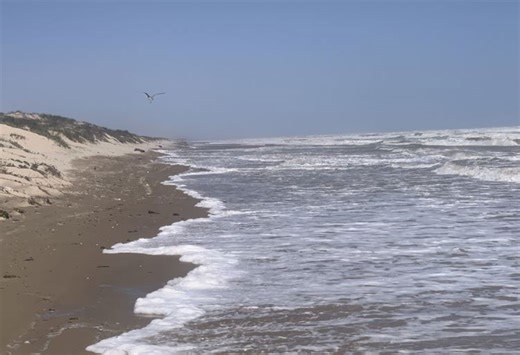 Cameron County judge closes 3 beaches due to high tides