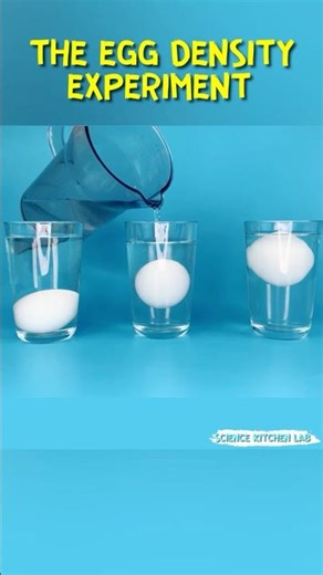 The Magic of Density: Floating Egg Trick| Archimedes’ Principle in Your Kitchen #experiment #density