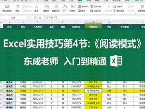 Excel实用技巧：“阅读模式”一招教会你！