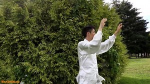 10 Simple Tai Chi Exercises in 10 Minutes - Daily Tai Chi for Beginners.mp4