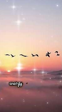 The Physics That Tells Birds When to Migrate