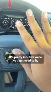 The Lamborghini Urus SE's Weirdest Feature!