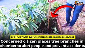 Open PWD water supply chamber poses a risk to commuters. Concerned citizen places tree branches in chamber to alert people and prevent accidents #Goa #GoaNews #PWD #Chamber | In Goa 24x7