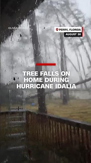 Tree falls on house during Hurricane Idalia