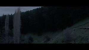 53K views · 304 reactions | All bite, no bark. THE PACK comes in for the kill February 5 in select theaters & on demand. | IFC Midnight | Facebook