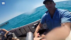 See what happens when a GoPro camera goes up against a shark