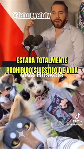 #NayibBukele #NoticiasInternacionales #salvador Ahora tendré que hacer perreras y no cárceles #viral