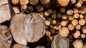 7.6K views · 13 shares | Let me introduce you to Land Energy and what...