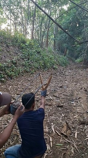 animal slingshot | Moh Aliwafa