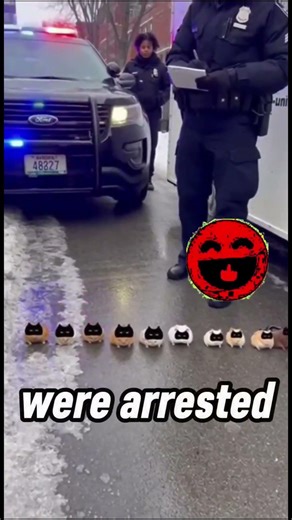 10 Hamsters Arrested: The Real Criminals Behind Earth's Problems! 😂