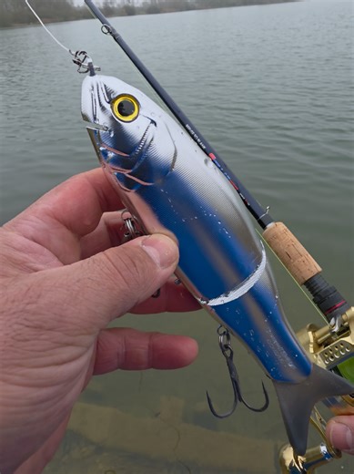 Pike Fishing Tips with Swimbait