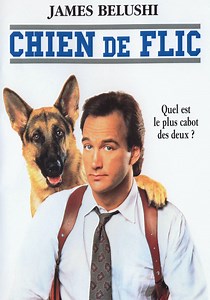 Regarder Chien de flic en streaming complet et légal