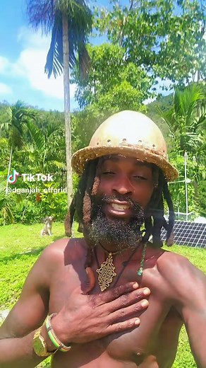 I'm a rastaman living alone off-grid in cabin with a river running in my backyard (HaLLeLuJaH) and today the dogs and I took a swim in the river. These dogs love the water like ducks 🔴😊🟢. #river #offgrid #dog #cabin #alone