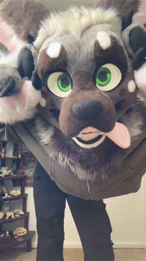 Finished this premade, wondering if people would find the suit interesting 🤔 #fursuit #fursuitmaker #premadefursuit #fyp #furrytiktok