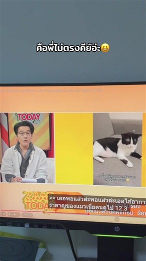 #เทรนด์วันนี้ #ฟีดดดシ #แมวอ้วน #แมวน่ารัก | cat tiktok trend