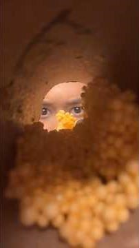 ASMR Cleaning Your Ears w/ semi Inaudible Whisper #asmr #asmrshorts #youtubeshorts #shorts #short