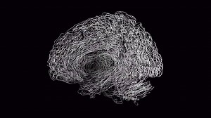 The brain is a region that is not only structural but also cognitively functional. Mapping the brain dynamically, while it's 'working,' is a new frontier of research. While neurons generate an electrochemical process of transmitting cerebral codes, i.e. pain, neuroimaging renders the process visible. | Phillip and Patricia Frost Museum of Science | Facebook