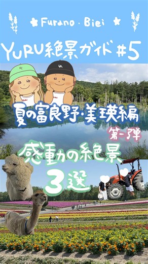 今年の夏、北海道に行く人おすすめです🌻✨ 夏の美瑛・富良野で絶対に外せない「感動の絶景3選」をまとめました🚗💨 今回は私たち夫婦と父夫婦での家族旅行👨‍👩‍👧‍👦 どこを見ても絵になる景色ばかりで、本当に最高すぎました…🥺🩵 ① まるで別世界！神秘的な『青い池』💧 吸い込まれそうなブルーが本当に綺麗！夏の涼しげな空気感も最高です✨ツーショットもバッチリ撮れました📸 ② マイナスイオンたっぷり『白ひげの滝』🌿 大迫力の滝に癒されるパワースポット！青い池から車ですぐなので、セットで巡るのが大正解🚗 ③ どこまでも続く花畑『四季彩の丘』🚜🌷 広すぎるのでトラクターバスでの移動が最高に楽しい！まさかのアルパカ🦙にも会えちゃって癒されました（笑） 次回は【夏の富良野・ひんやりスイーツ＆絶品グルメ編🍈】を投稿します！🤤 見逃さないようにフォローして貰えると嬉しいです🥰 みんなはどの絶景に行ってみたいですか？✨ ぜひコメントで教えてね👇 #北海道旅行 #富良野 #美瑛 #夏の北海道 #yuru絶景ガイド