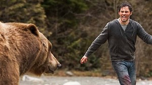 Into The Grizzly Maze