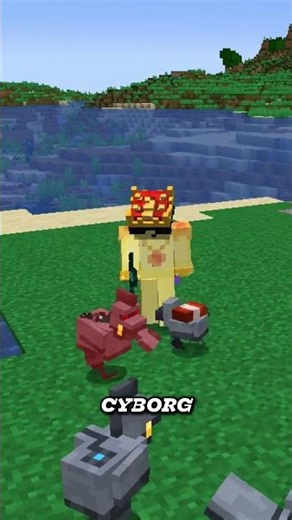 Don't Hit Chickens #minecraft