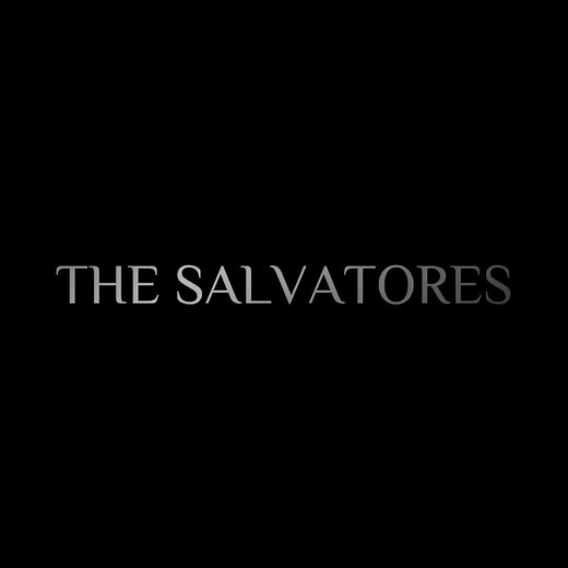 The Vampire Diaries – The Salvatore Brothers! 🔥🩸