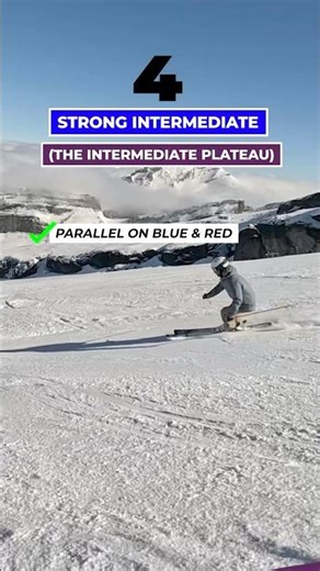 Ski Level 4 - The Intermediate Plateau #ski #skiing #skitips