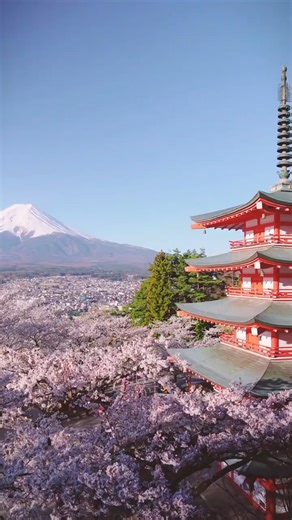 Japan Ichiban Tours on Instagram: "Mount Fuji, Japan 🗻✨ — an iconic symbol of beauty, balance, and natural wonder. ✨ Witness Japan’s magic with us! 📸 Instagram: @japan_ichiban_tours 📞 WhatsApp: +81 90-3486-7744"