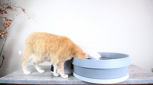 PetSafe Simply Clean Self-Cleaning Litter Box Review - Discontinued - Cats.com