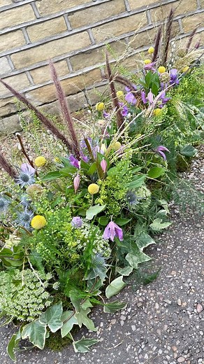 13K views · 187 reactions |  Sustainability in Bloom  Here’s a...