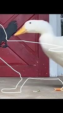 The Running Duck Outline Trend