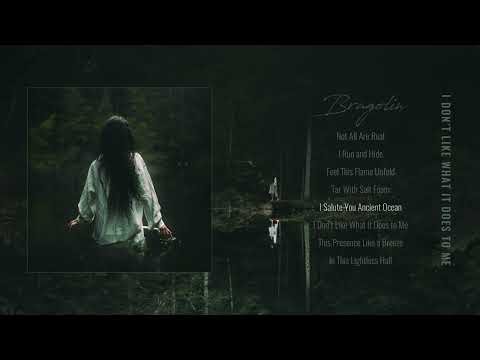 BRAGOLIN - I Salute You Ancient Ocean
