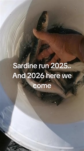 Shikaar (@shikaar725)’s videos with Taste (feat. Offset) - Tyga