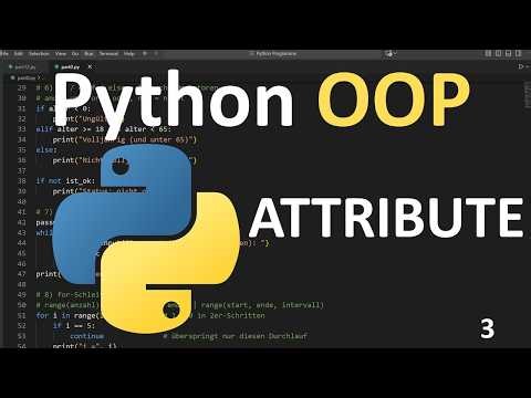 Attribute nutzen | Python OOP Part 3: Attribute